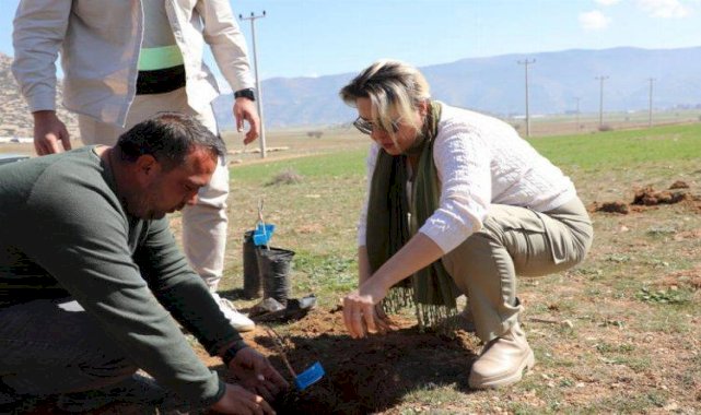 Antalyalı çiftçiler antepfıstığı üretecek