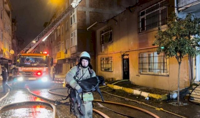 Beyoğlu’nda çatıda yükselen alevlerin arasında mahsur kalan köpek kurtarıldı