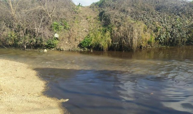 İstanbul'da Büyükçekmece Barajı’na akan derede kimyasal atık şüphesi