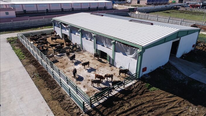 TBMM yoğun bir haftaya giriyor