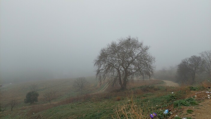Tekirdağ'da sis: Görüş mesafesi 10 metreye düştü