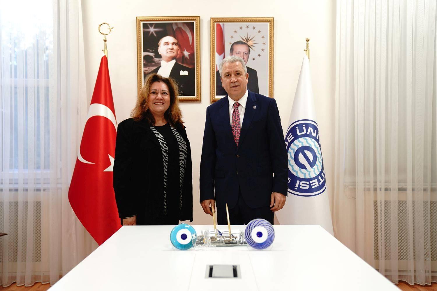 Mikrorobotların Tıpta Kullanımının Önünü Açacak Proje