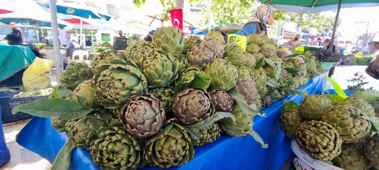 Urla enginarı ziyaretçilerini bekliyor
