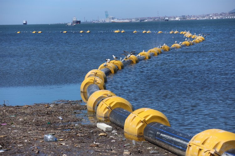 İzmit Körfezi’nde dipten diriliş başladı