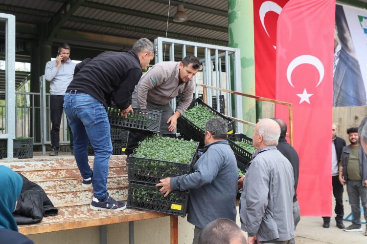 İzmit'ten çiftçiye 2 milyonluk fide desteği