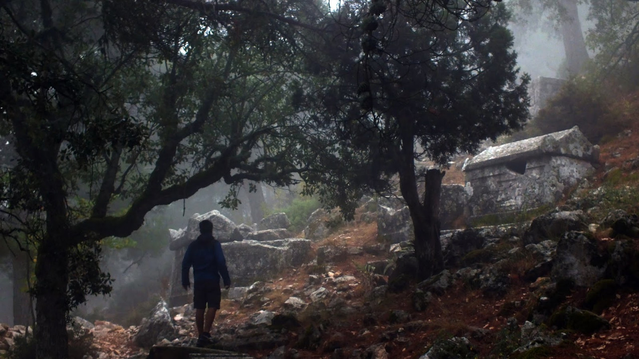 Kelbessos’taki talan artarak sürüyor