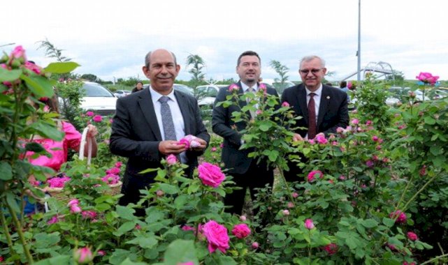 'Edirne Gülü'ne şenlikli hasat