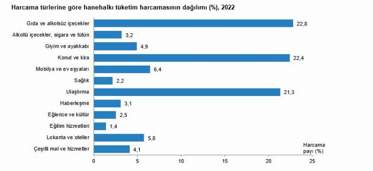 Hanehalkı gelirin yüzde 66’sını gıda, kira ve ulaşıma harcıyor