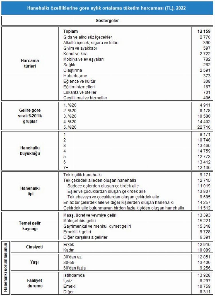 Hanehalkı gelirin yüzde 66’sını gıda, kira ve ulaşıma harcıyor