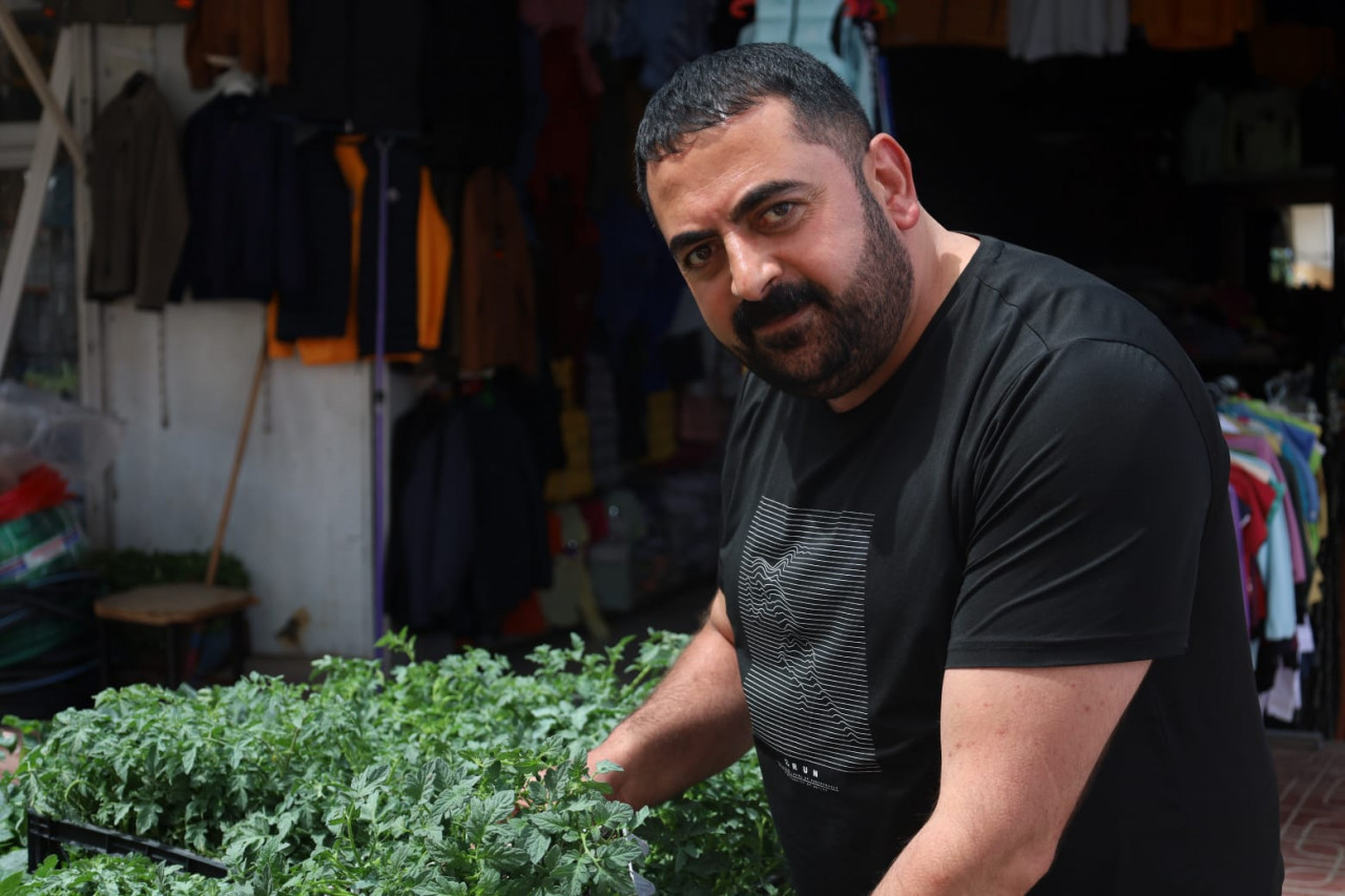 Sebze fiyatları yükseldi, Vanlılar fide ekmeye başladı