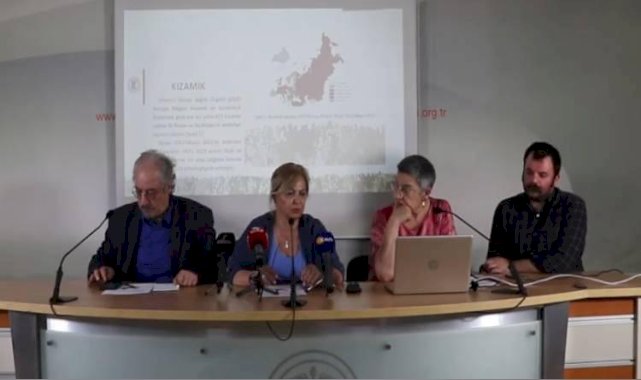 TTB Uyardı: Kızamık Salgını ile Karşı Karşıyayız!