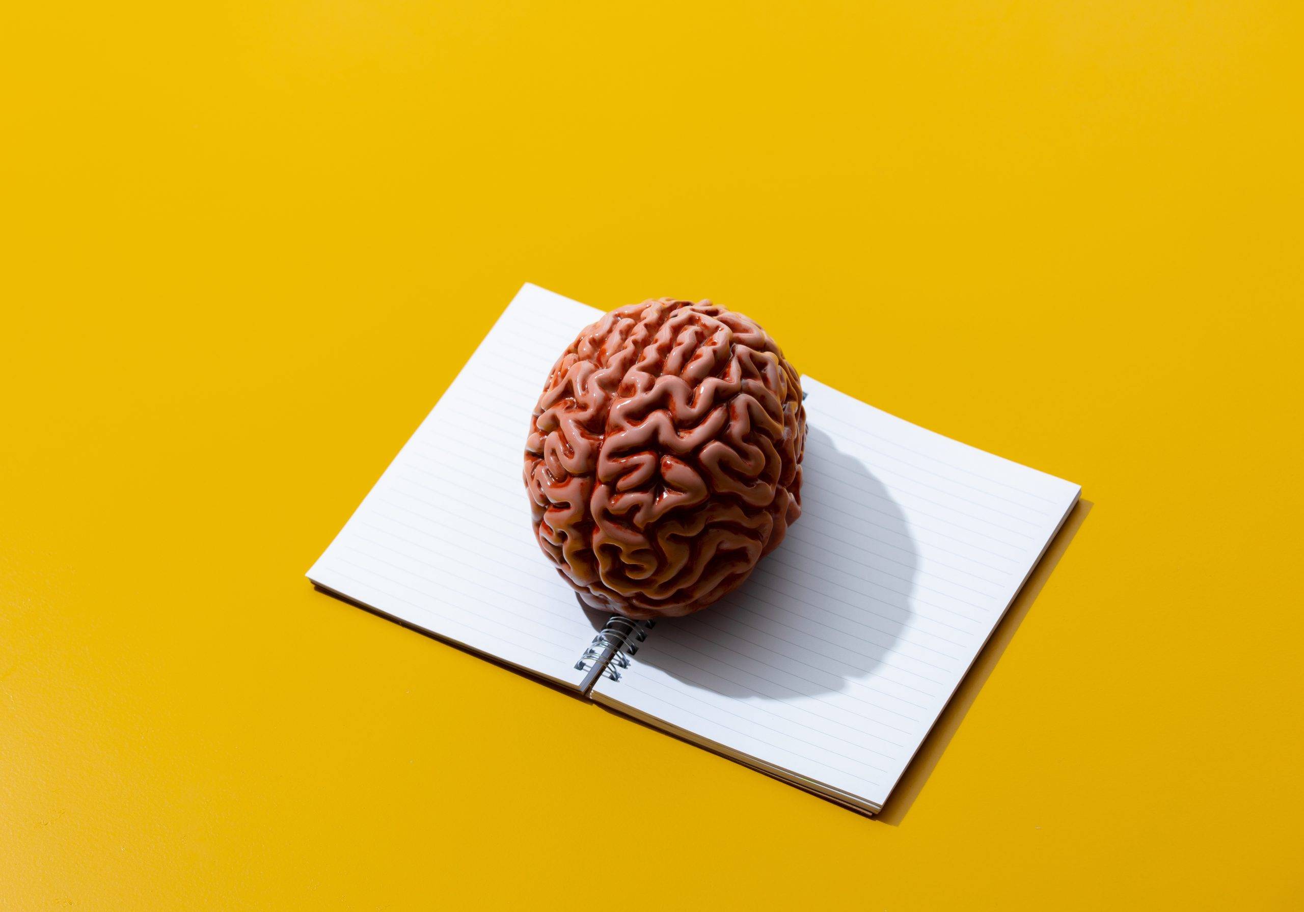 Beyin Sağlığınızı Korumak İçin Bu 8 Öneriyi Dikkate Alın!