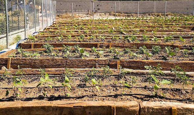 Buca'nın Mustafa Kemal Mahallesi'nde Mahalle Bostanı açıldı