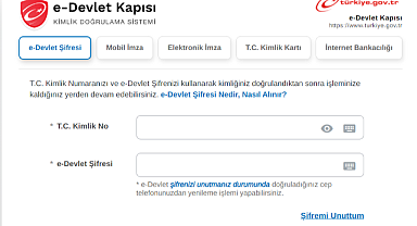 E-Devlet girişi nedir? E-Devlet'e nasıl giriş yapılır? E-Devlet şifresi nasıl ve nereden alınır?