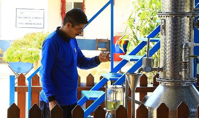 Muğla Büyükşehir Distilasyon Tesisi Muğla'nın Aromatik Bitkileri'ni İşliyor