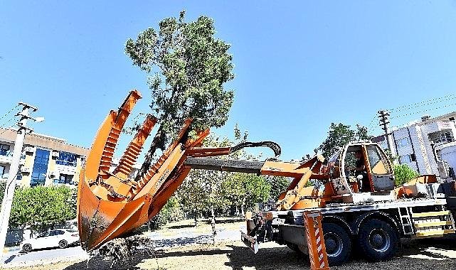 Buca Metrosu'nda istasyon inşaatları öncesinde ağaçlar geçici olarak taşınıyor