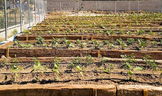 Buca'nın Mustafa Kemal Mahallesi'nde Mahalle Bostanı açıldı