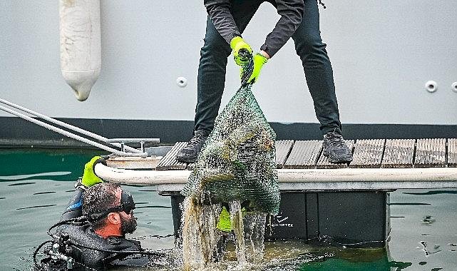 D-Marin tüm marinalarında Çevre Farkındalık Günlerini kutladı