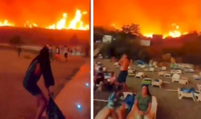 Dünya alev alev yanıyor! Cezayir'de orman yangınlar nedeni ile 34 kişi öldü