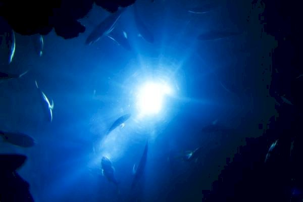 Piyasalara analitik bakış