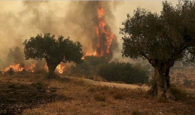 Türkiye, Yunanistan'a yangın söndürme uçağı ve helikopter yolluyor