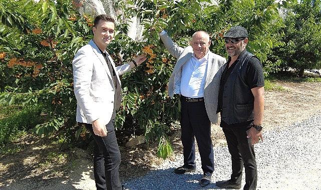 Yahyalı&#039;dan Dünya&#039;nın bir çok bölgesine kiraz ihracatı yapılıyor