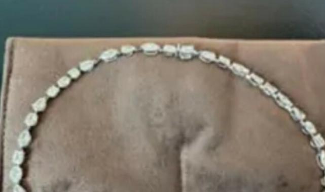 ABD'de 1,8 milyon dolarlık hırsızlık: Lüks otel odasından çaldı