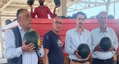 Afyonkarahisar'ın ihracatlık karpuz hasadı başladı