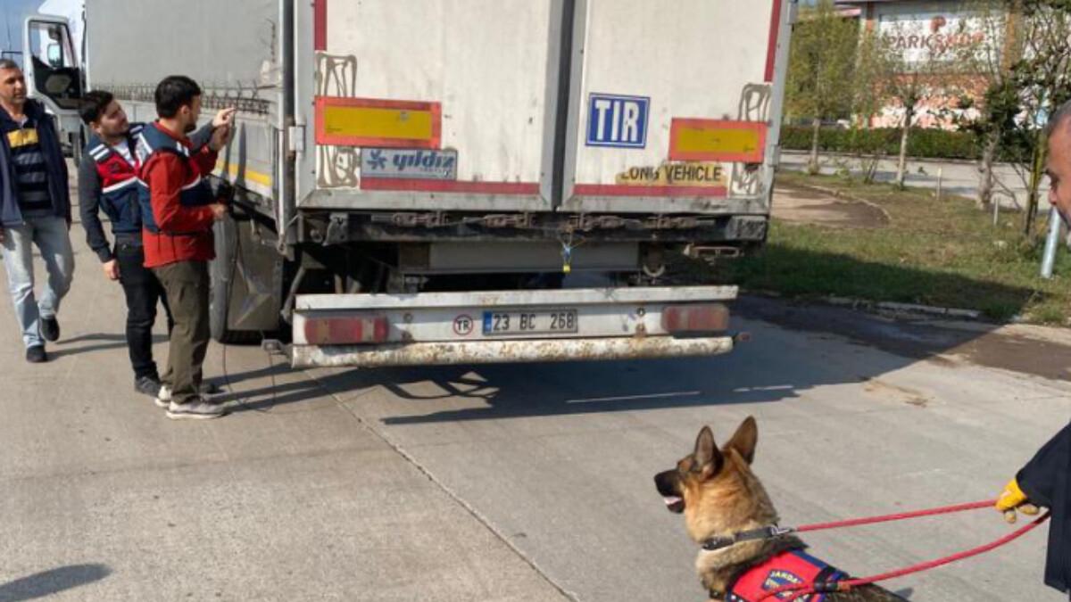 Ali Yerlikaya, Hatay ve Sakarya'da göçmen kaçakçılığı operasyonunu paylaştı: 39 gözaltı