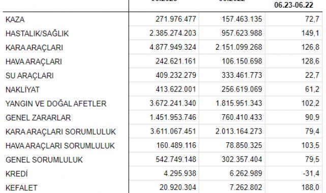 Anadolu Sigorta, ilk yarıda prim üretiminde 18 milyar TL'yi aştı