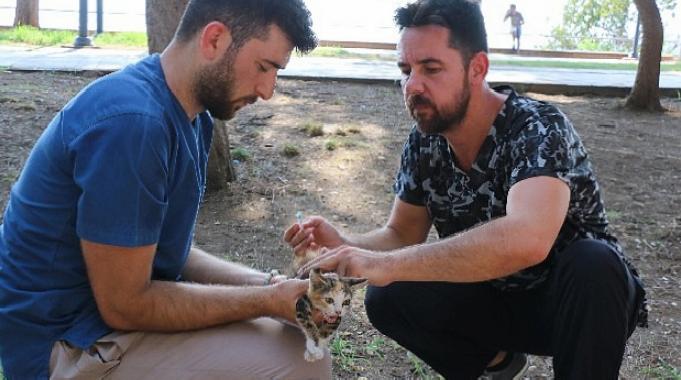 Antalya Büyükşehir can dostlarımızı hastalıklara karşı koruyor