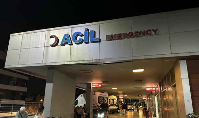 "Beni uzaylılara öldürtecek" dediği annesine satırla saldırdı