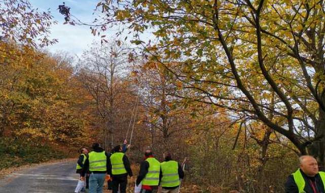 Borusan EnBW Enerji’den Bandırma Karadağ Kestanesi’nin geleceği projesi
