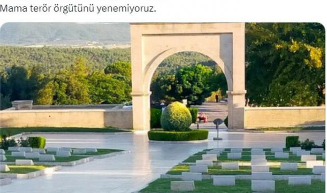 Çanakkale Şehitliği başıboş köpeklerin mesken yuvası oldu