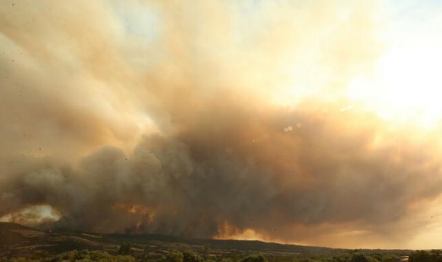 Çanakkale'de orman yangını! Rüzgar her yere alev taşıdı