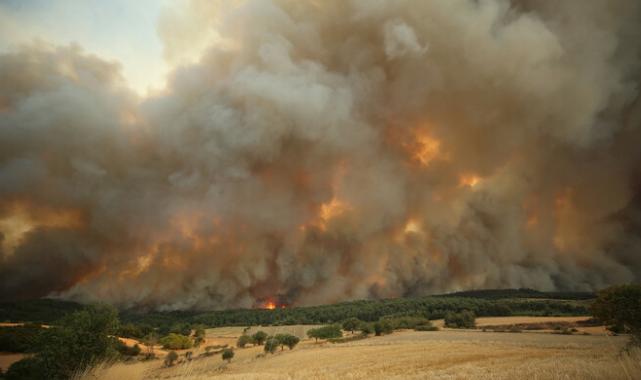 Çanakkale'de orman yangını! Rüzgar her yere alev taşıdı