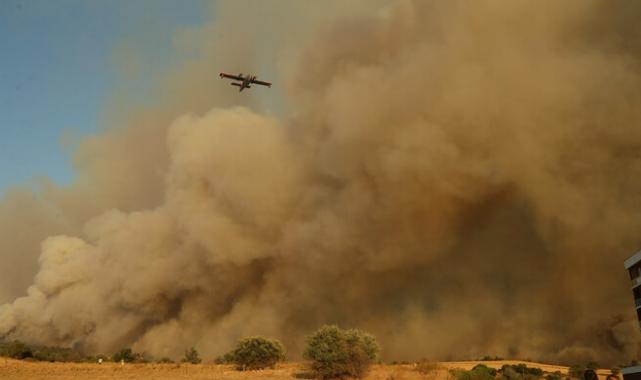 Çanakkale'de orman yangını! Rüzgar her yere alev taşıdı