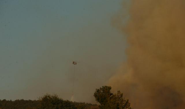 Çanakkale'de orman yangını! Rüzgar her yere alev taşıdı
