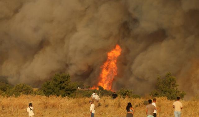Çanakkale'de orman yangını! Rüzgar her yere alev taşıdı