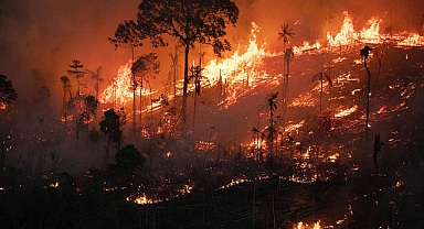 Çanakkale'de orman yangını! Rüzgar her yere alev taşıdı