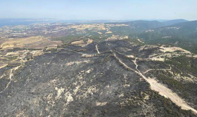 Çanakkale'de yangın kontrol altına alındı! 4 bin 80 hektar alan kül oldu