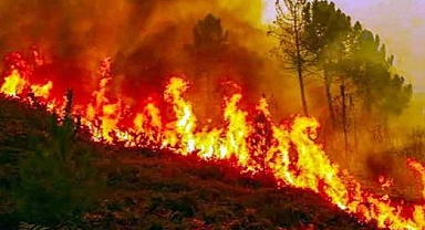 Çanakkale'de yangın kontrol altına alındı! 4 bin 80 hektar alan kül oldu