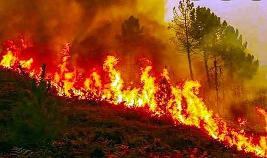 Çanakkale'de yangın kontrol altına alındı! 4 bin 80 hektar alan kül oldu