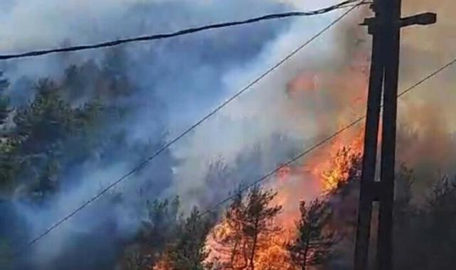 Çanakkale'deki orman yangınının çıktığı ilk anlar görüntülendi