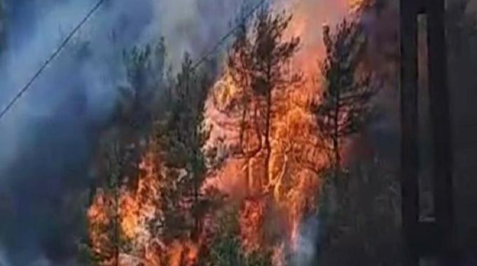 Çanakkale&#039;deki orman yangınının çıktığı ilk anlar görüntülendi