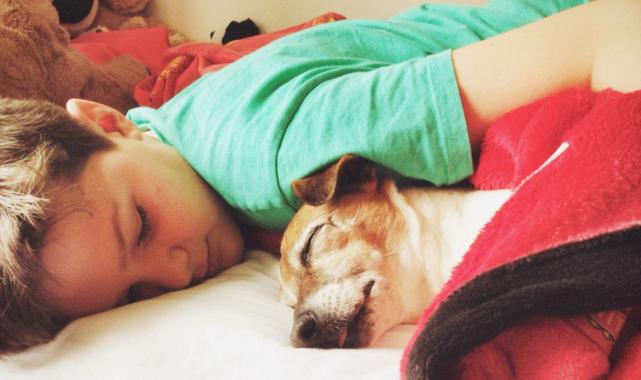 Çocuklarda Uyku Kalitesi Nasıl Sağlanır ?