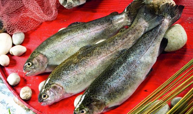 Dondurulmuş Balık Alırken Dikkat!