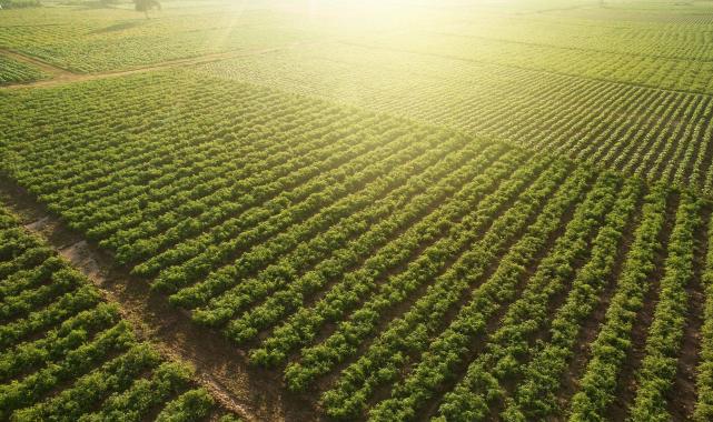 Dr. Ece Aynur Onur, İklim Krizi Hakkında Uyarılarda Bulundu!