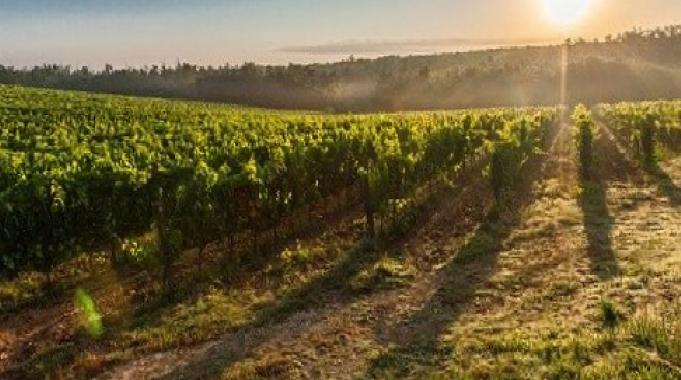 Dr. Ece Aynur Onur, İklim Krizi Hakkında Uyarılarda Bulundu!