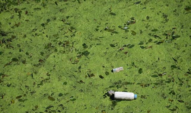 Edirne'de Tunca Nehri yatağında temizlik çalışması